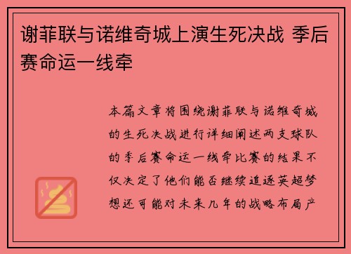 谢菲联与诺维奇城上演生死决战 季后赛命运一线牵